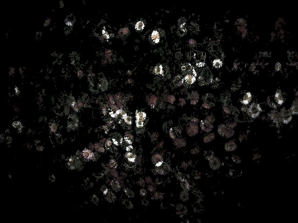 170616-4-6