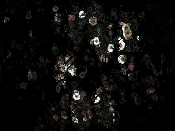 170616-4-2