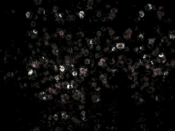 170616-4-14