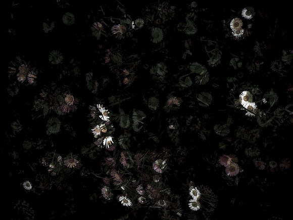 170616-4-3