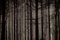 2013-10-03-218-6