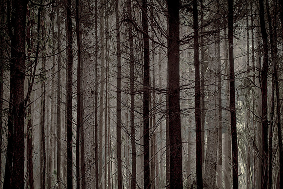 2013-10-03-218-6
