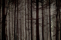 2013-10-03-218-3