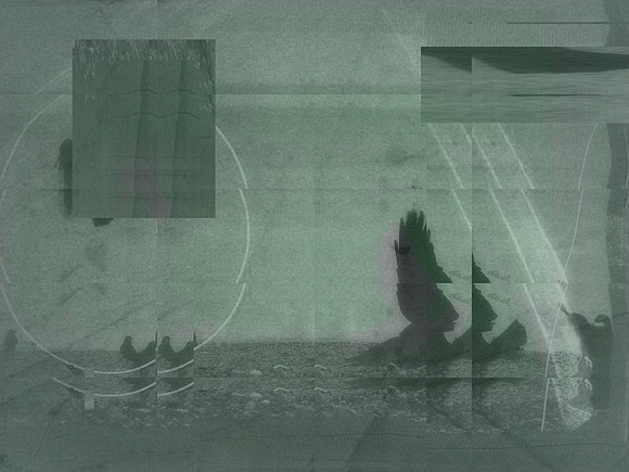 16-16