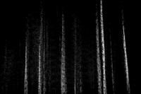 2013-09-29-136