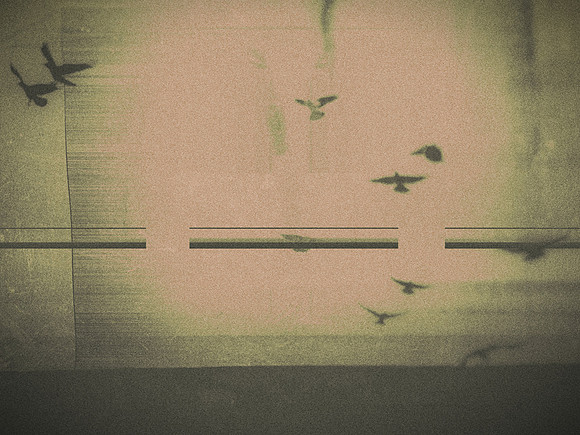 10-295