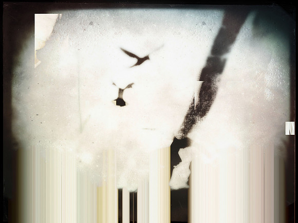 10-233