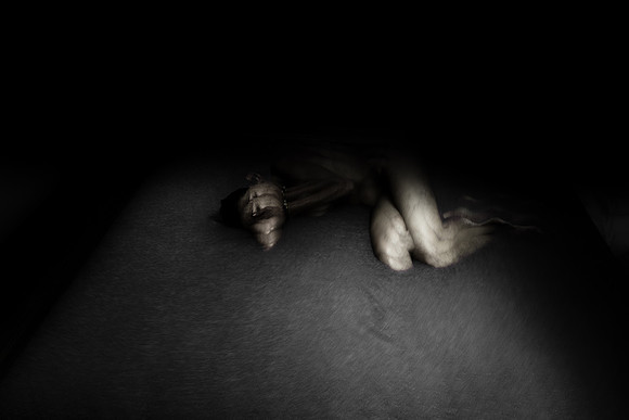 050214 #361v2