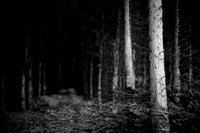 2013-10-03-76