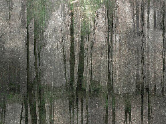 180317-1-15