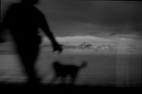 untitled-384-3
