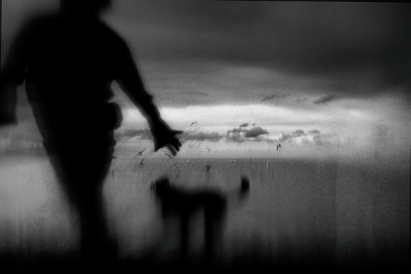 untitled-384-5
