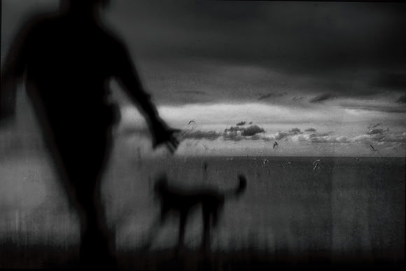 untitled-384-2