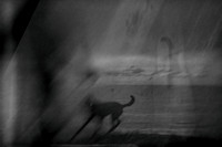 untitled-384