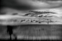 untitled-210-2