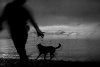 untitled-384-4