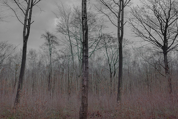 031214 #366