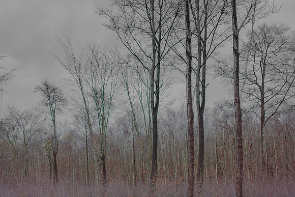 031214 #249