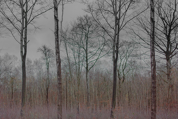 031214 #283