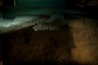 2011-12-13-523-20