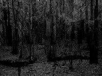 201016-1-12