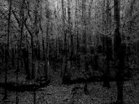 201016-1-2