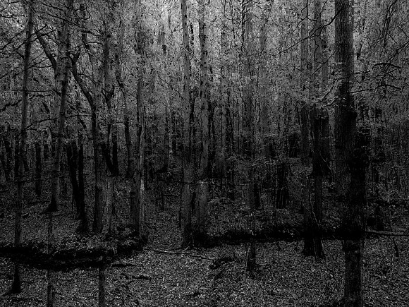 201016-1-2