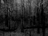 201016-1-1