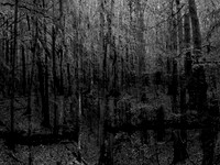 201016-1-9