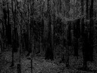 201016-1-13