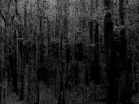 201016-1-7