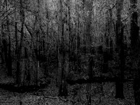 201016-1-4