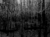 201016-1-3