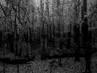 201016-1-5