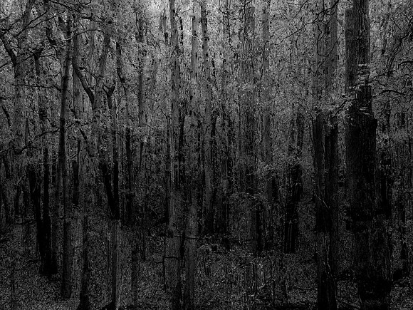 201016-1-6