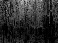 201016-1-8