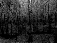 201016-1-10