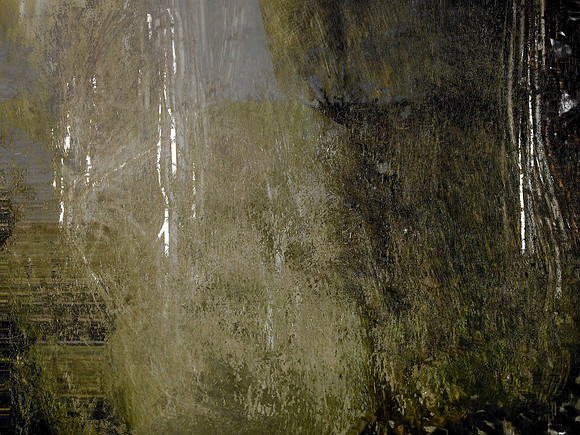 IMG_5406