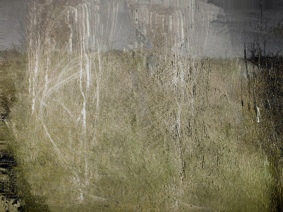 IMG_5765