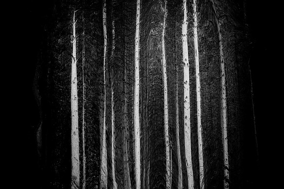2013-09-29-223-5