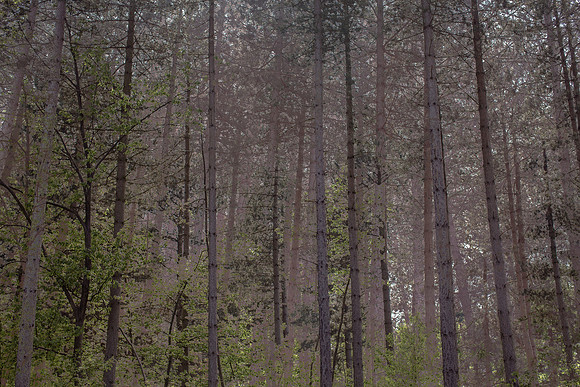 2013-05-31-137