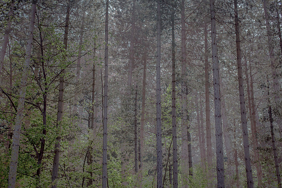 2013-05-31-142