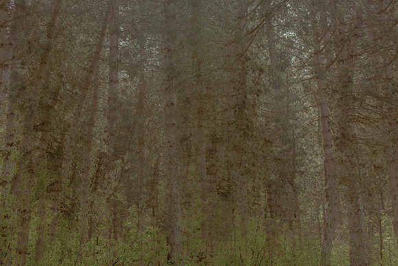 2013-05-31-55