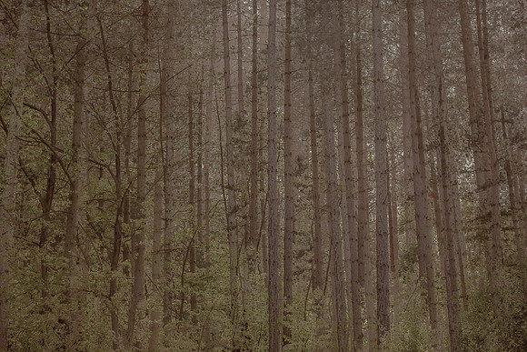 2013-05-31-219