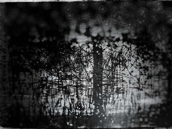 02-51-Edit-2-Edit-2-Edit-12