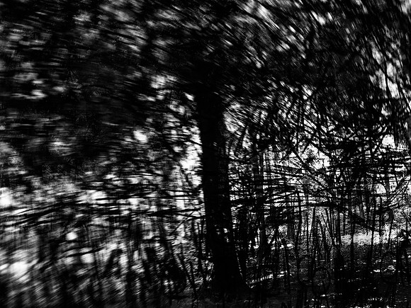 02-51-Edit-2-Edit-2-Edit-14