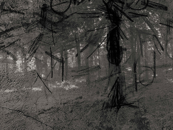 02-51-Edit-2-Edit-Edit-16