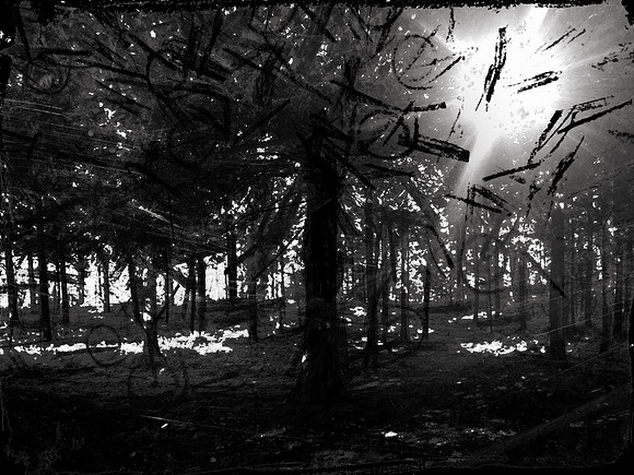 02-51-Edit-2-Edit-Edit-7