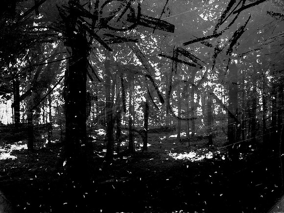02-51-Edit-2-Edit-Edit-20