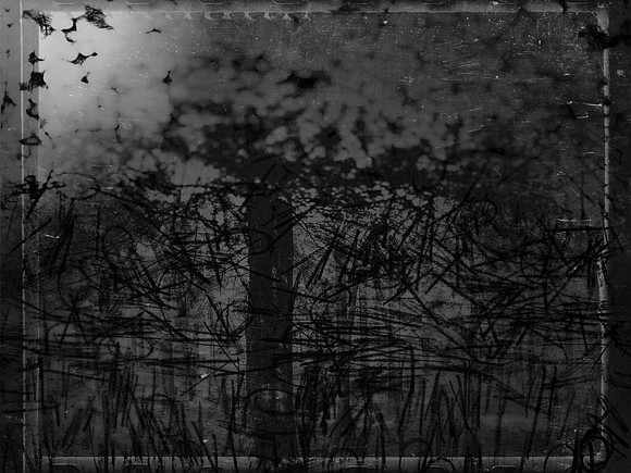 02-51-Edit-2-Edit-2-Edit-3-2
